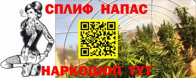 шишки Бузулук