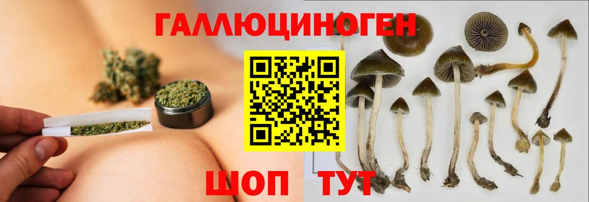 Псилоцибиновые грибы Psilocybine cubensis  Вход с VPN  Сафоново 